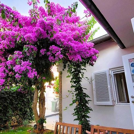 Holiday Home Zora - Family Vacation House Near Protected Area Of The Nature Park Kamenjak, With Green Yard, Wifi, Air-Con Premantura Extérieur photo