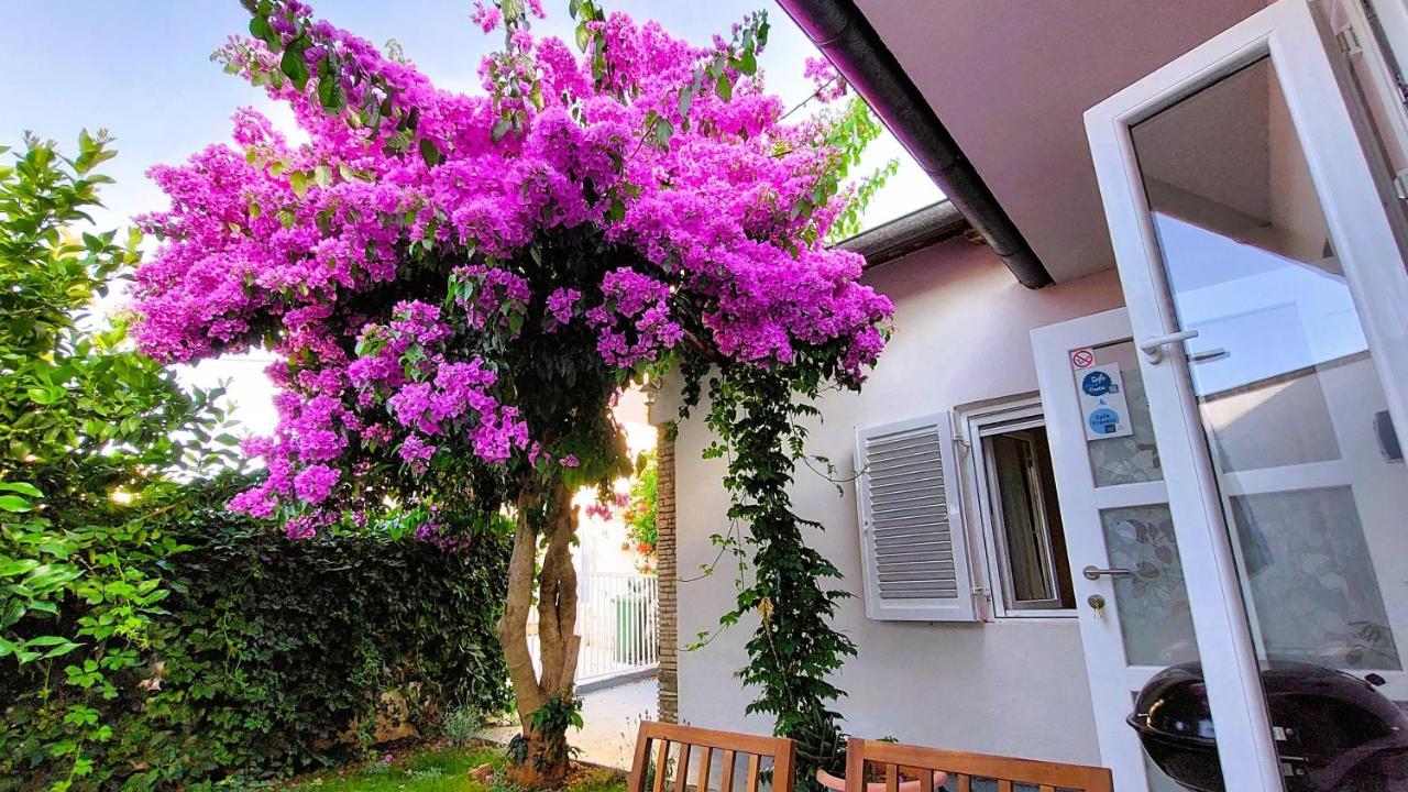 Holiday Home Zora - Family Vacation House Near Protected Area Of The Nature Park Kamenjak, With Green Yard, Wifi, Air-Con Premantura Extérieur photo
